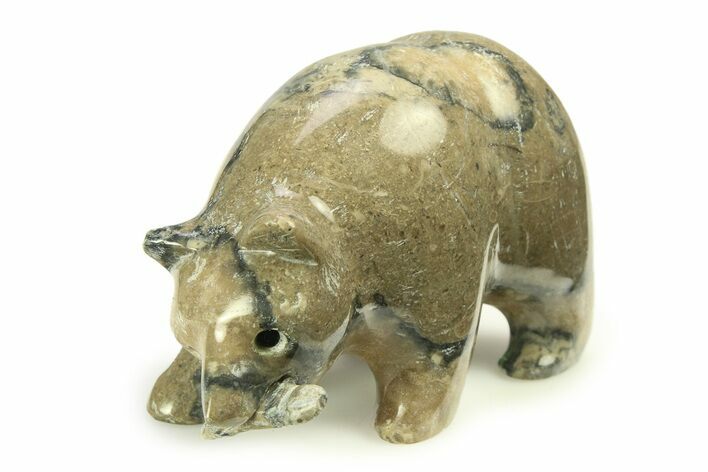 Realistic, Polished Fossil Staghorn Coral Bear with Fish #308427